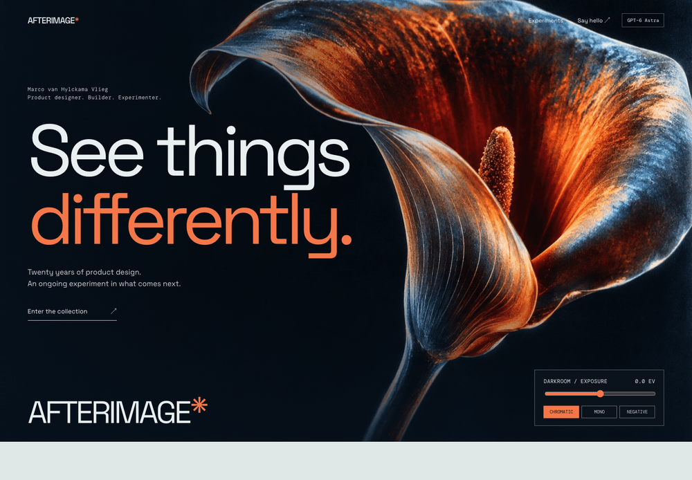 Afterimage, an experimental solarized botanical darkroom in ink and vermilion